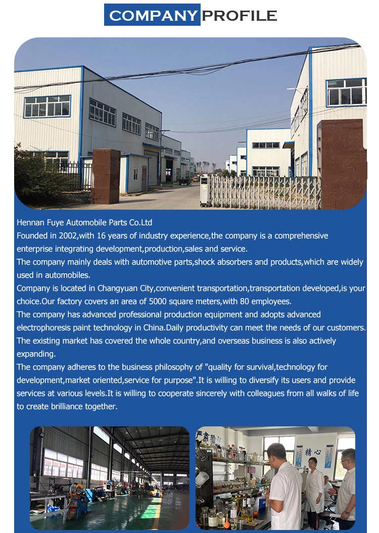 China Shock Absorber Factory